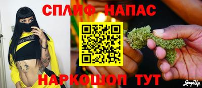 амф Новодвинск