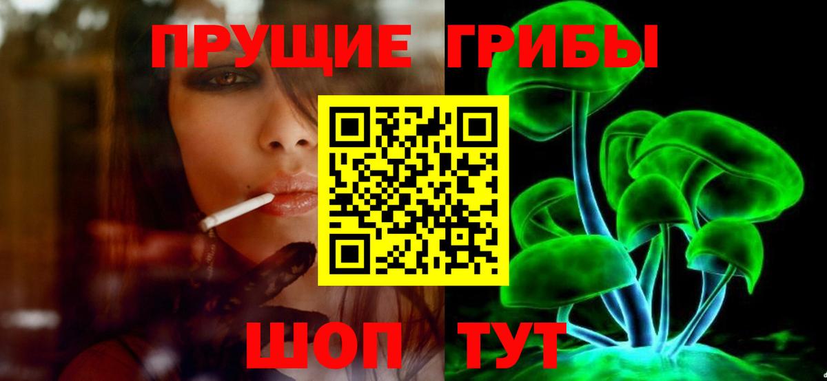 Галлюциногенные грибы Psilocybine cubensis  хочу   Тавда  Вход с VPN  Псилоцибиновые грибы прущие грибы 
